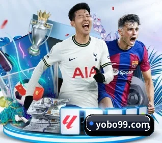 YOBO体育 APP